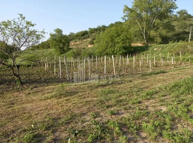 Działki 15 000 m² Tbilisi, Gruzja