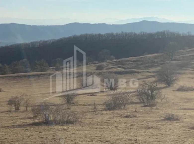 Parcelas 21 000 m² Tiflis, Georgia