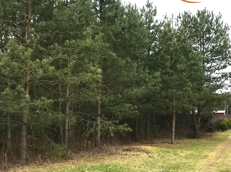 Grundstück  Zodzinski sielski Saviet, Belarus