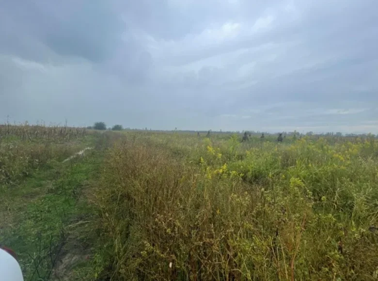 Земельные участки 9 043 м² Сенаки, Грузия