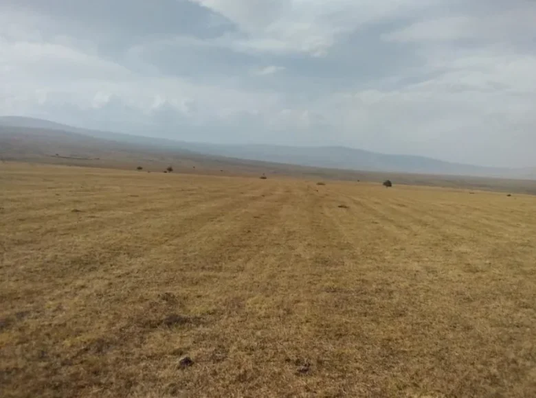 Земельные участки 500 000 м² Дманиси, Грузия