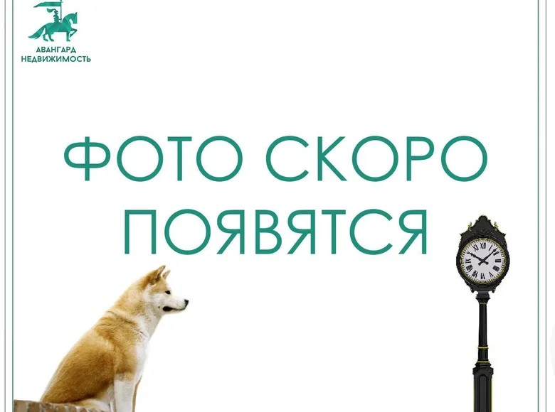 Коммерческое помещение 13 м² Минск, Беларусь