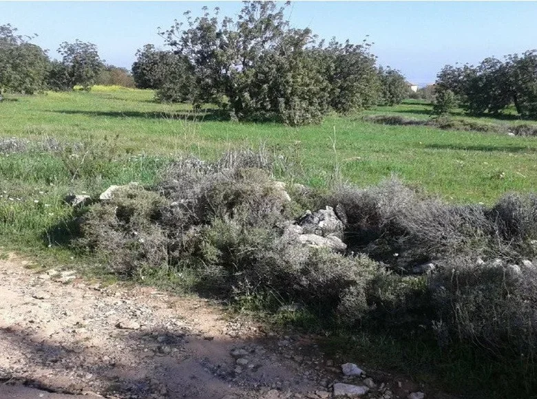 Land  Souni–Zanatzia, Cyprus