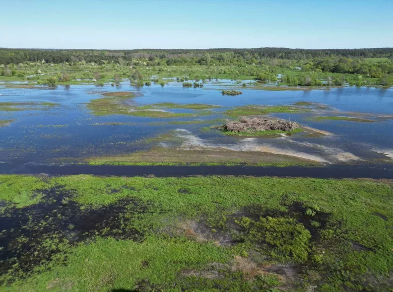 Land  Mikalajeuscynski sielski Saviet, Belarus