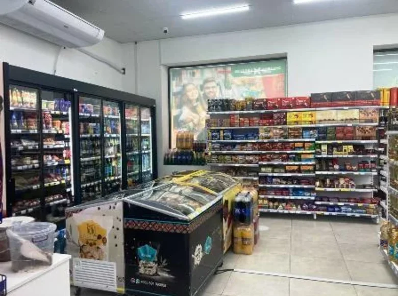 Commercial space for rent in Tbilisi, Didi Digomi