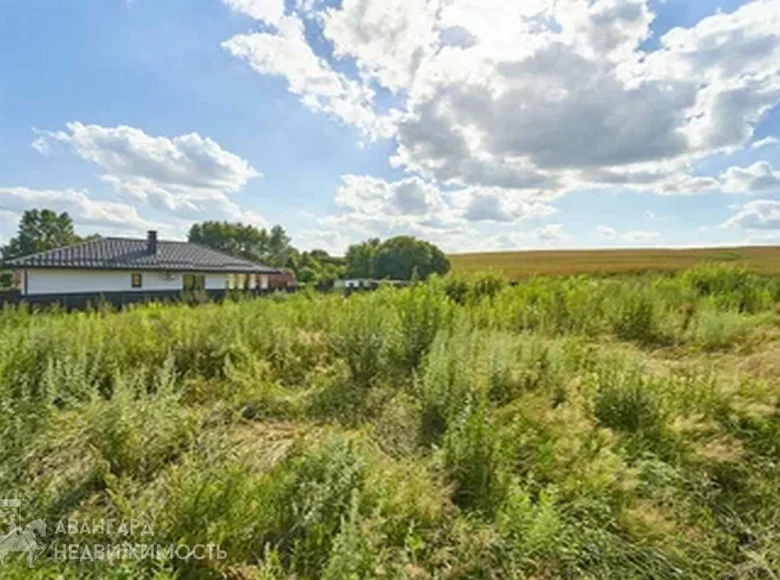 Grundstück  Kosina, Belarus