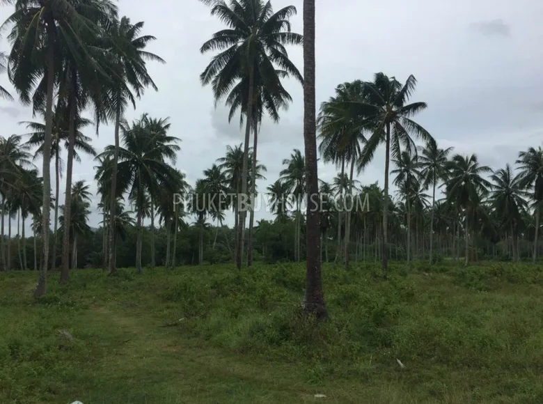 Atterrir  Phang Nga, Thaïlande