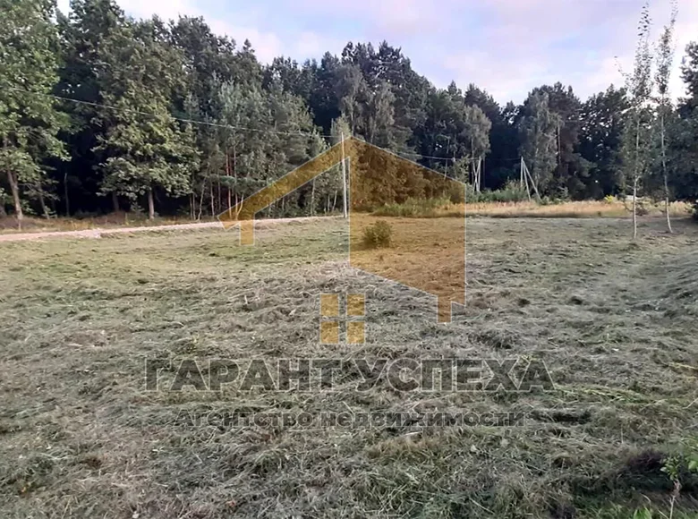 Land  Znamienski sielski Saviet, Belarus