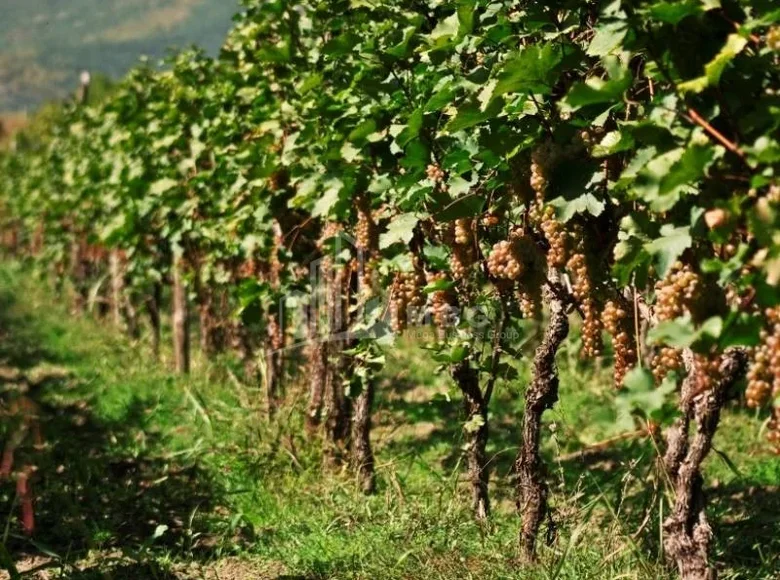 Parcelas 1 m² Tiflis, Georgia