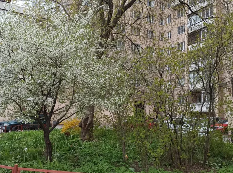 1 room apartment 38 m² Saint Petersburg, Russia