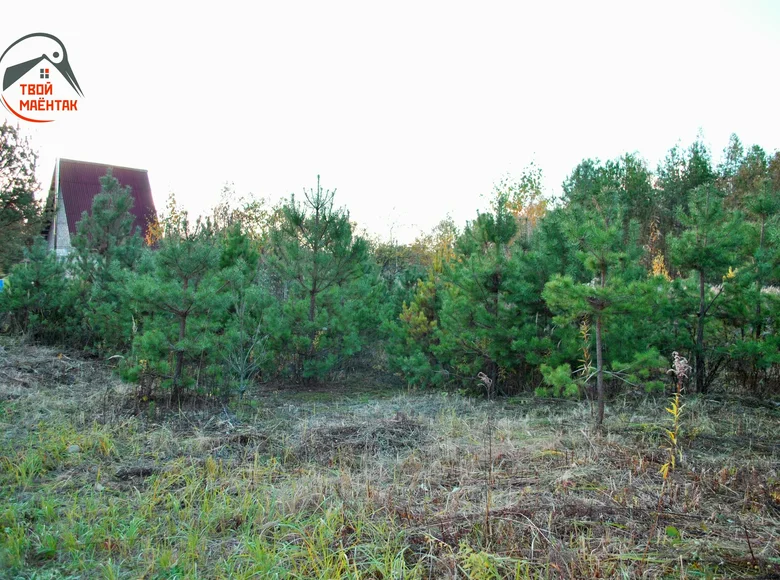 Земельные участки  Жодинский сельский Совет, Беларусь