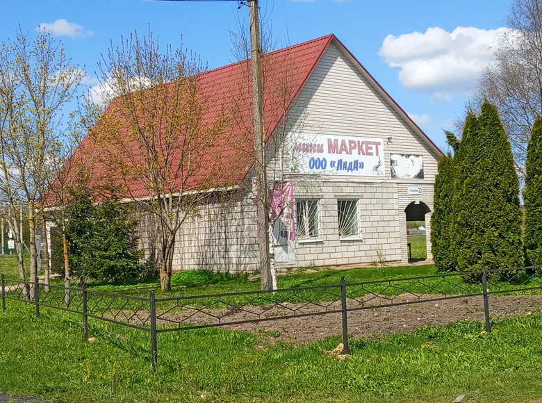 Commercial property 192 m² in Kalozicy, Russia