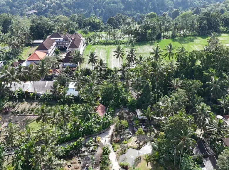 Hotel  en Ubud, Indonesia