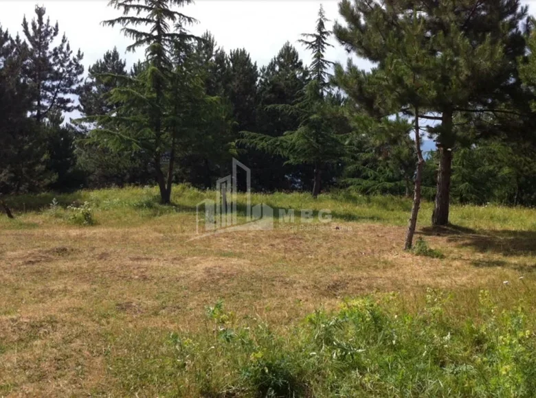 Grundstück 1 600 m² Tiflis, Georgien