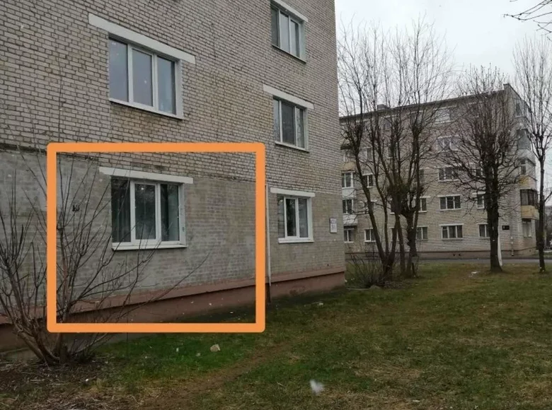 1 room apartment 30 m² in Orsha District, Belarus