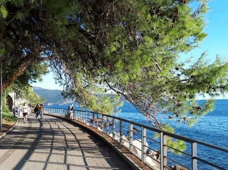 Restaurante, cafetería 26 m² en Herceg Novi, Montenegro
