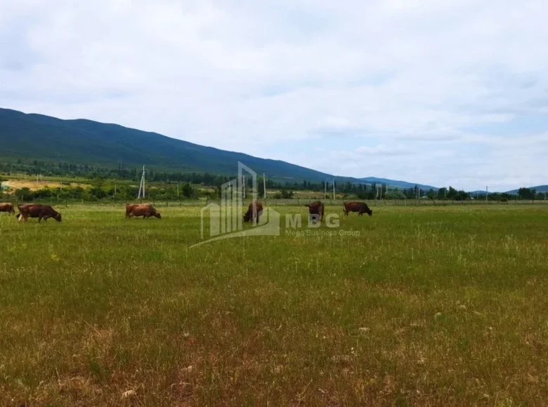 Działki 27 000 m² Tbilisi, Gruzja