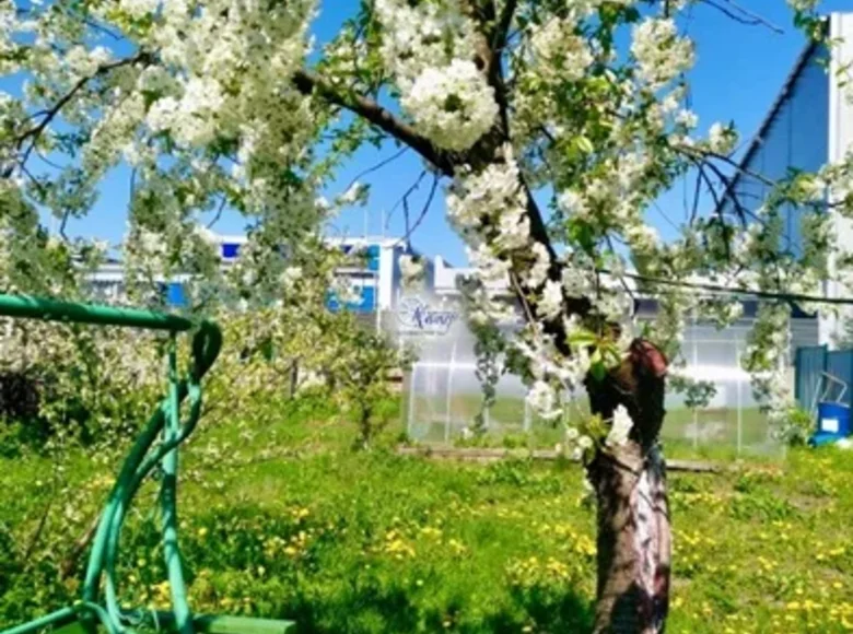 Land  Kaliningrad, Russia