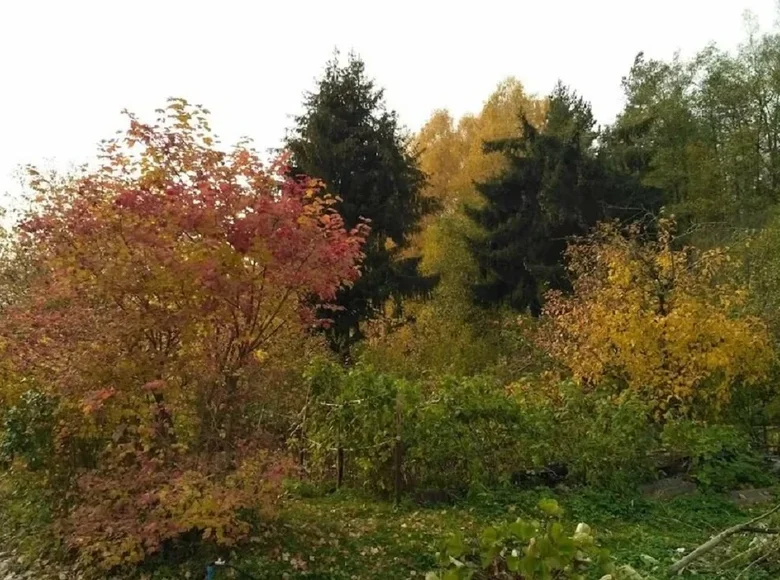 Land  Rakauski sielski Saviet, Belarus