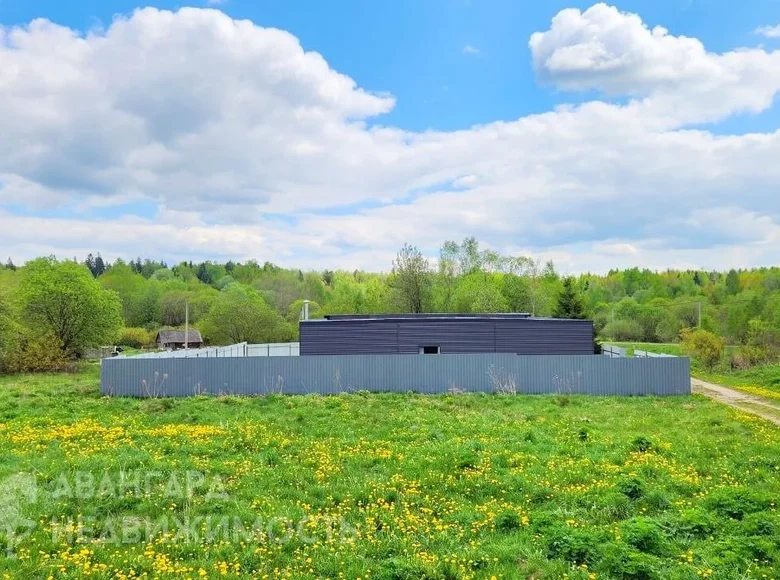 Nieruchomości komercyjne 291 m² Januskavicki sielski Saviet, Białoruś