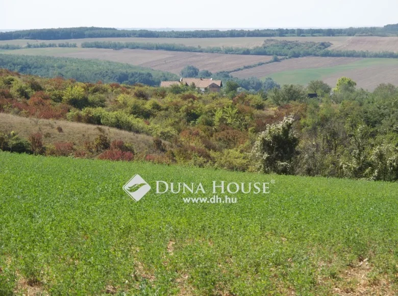 Land 141 013 m² in Vasztely, Hungary