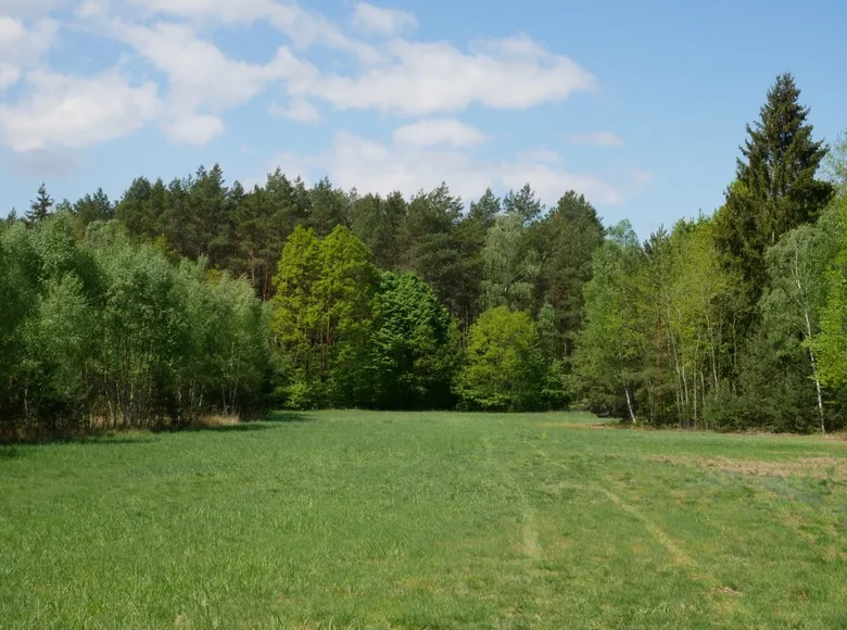 Land 22 631 m² Smolice, Poland