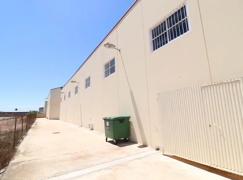 Commercial property  in Los Montesinos, Spain