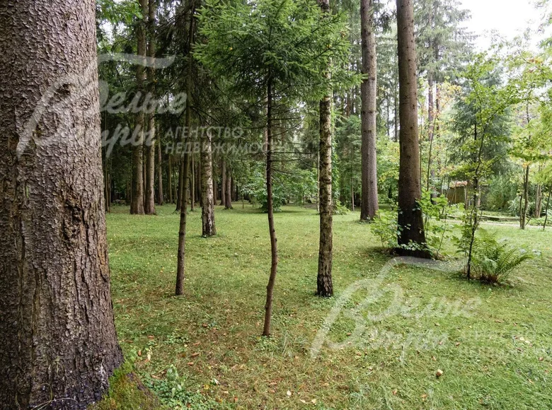 Land  Taraskovo, Russia
