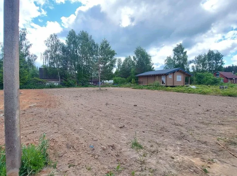 Działki  Rakauski sielski Saviet, Białoruś