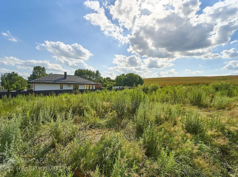 Land  Kosina, Belarus