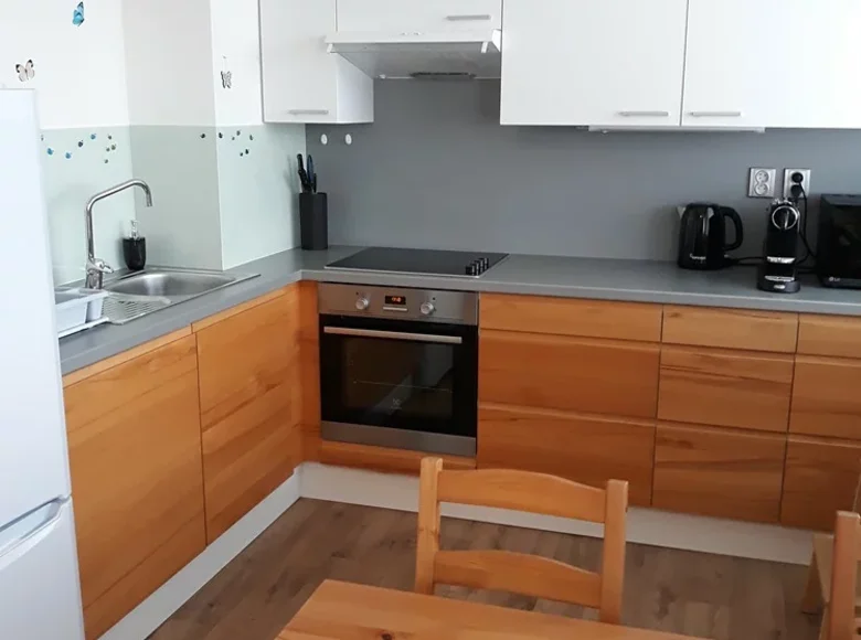 2 bedroom apartment 54 m² Neratovice, Czech Republic