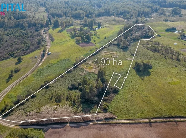 Parcelas  Naideliai, Lituania