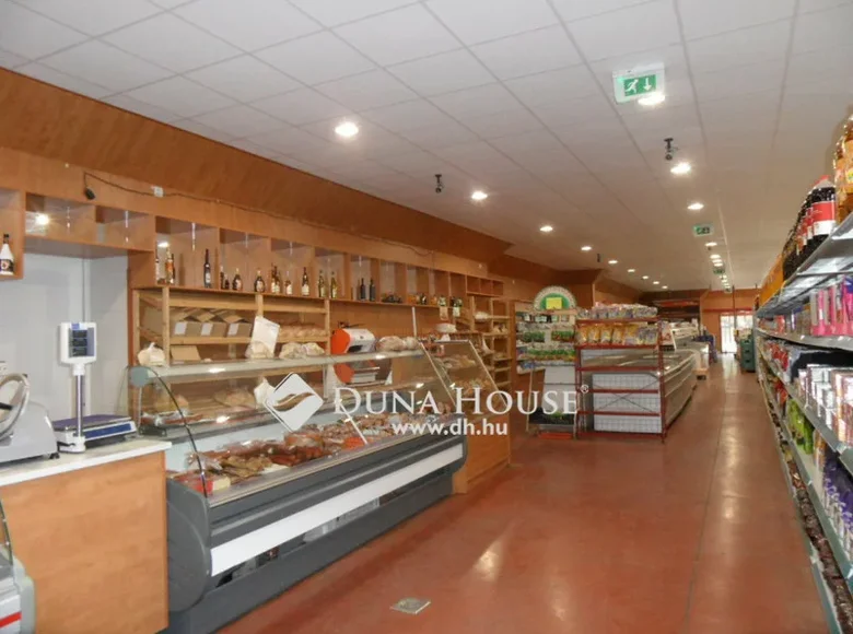 Gewerbefläche 2 300 m² Bekessamson, Ungarn