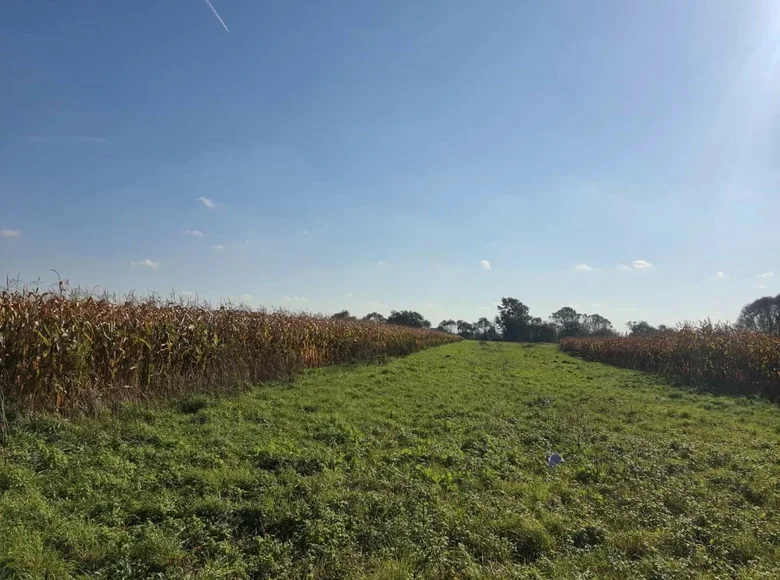 Działki 5 282 m² Kraków, Polska