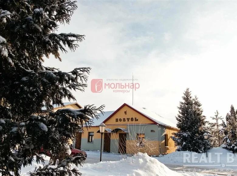 Commercial property 309 m² in Nyasvizh, Belarus
