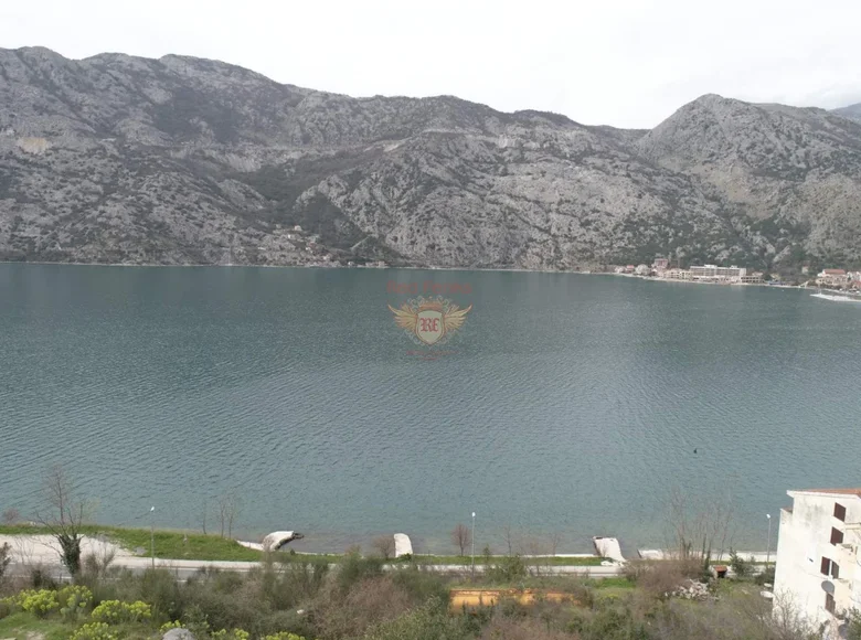 Commercial property  in Montenegro, Montenegro