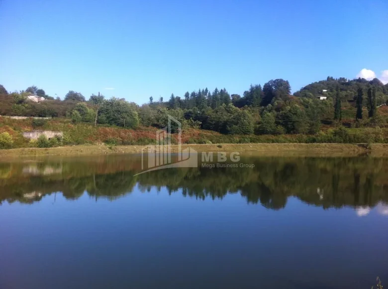 Atterrir 45 000 m² Tbilissi, Géorgie