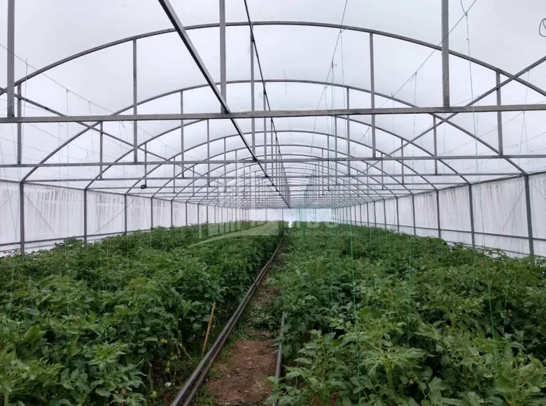 Parcelas 3 000 m² Tiflis, Georgia