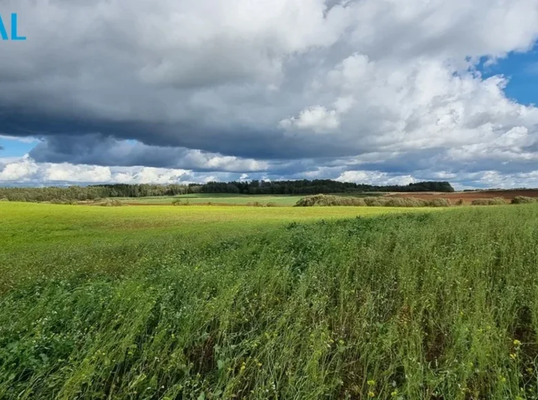 Parcelas  Maisiagala, Lituania