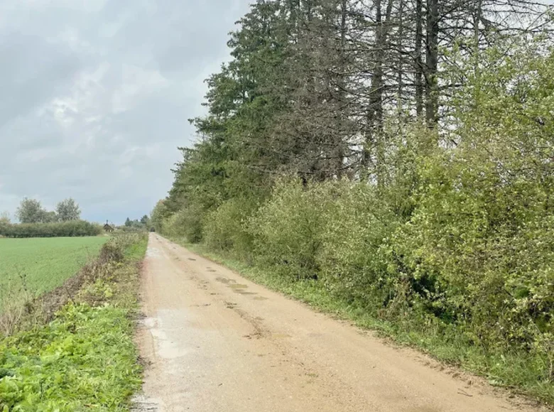 Atterrir  Kedainiai, Lituanie