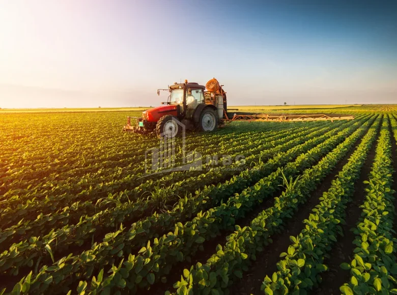 Parcelas 2 000 000 m² Tiflis, Georgia