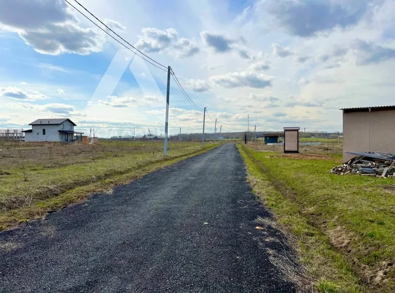 Atterrir  Ramensky District, Russie