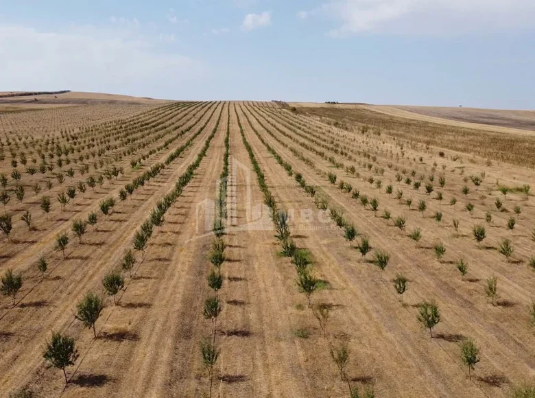 Parcelas 200 000 m² Tiflis, Georgia