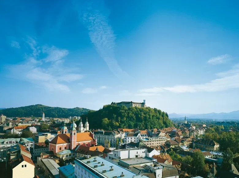 Restaurant 803 m² in Secovlje Sicciole, Slovenia