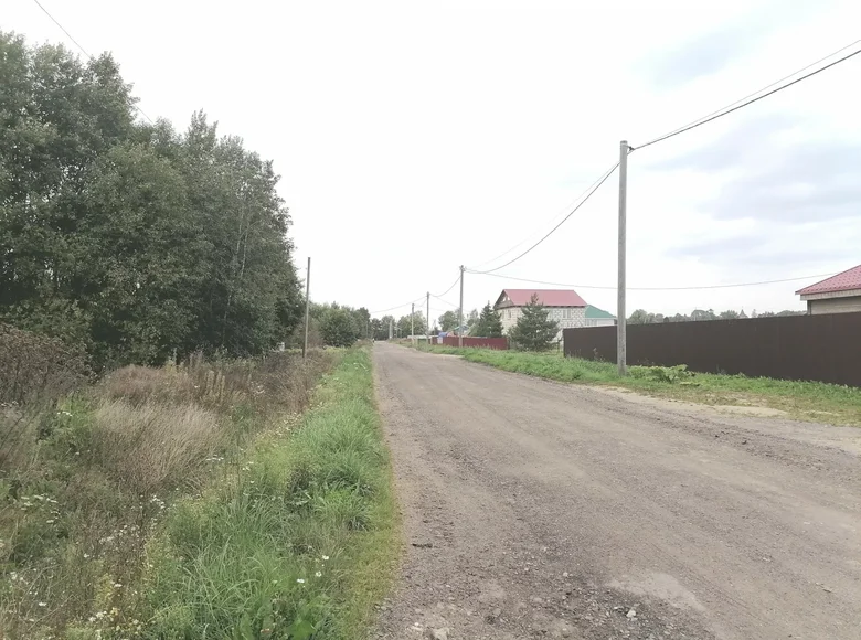 Land  Kupanitsa, Russia
