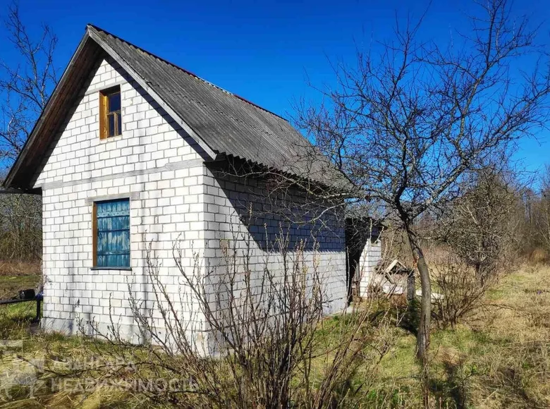 Maison 19 m² Zodzinski sielski Saviet, Bélarus