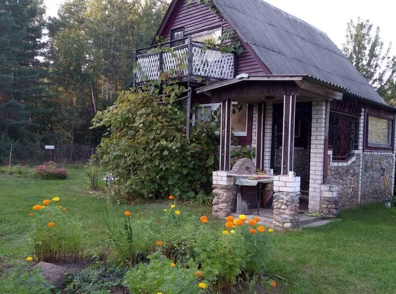 Dom 45 m² Bluzski sielski Saviet, Białoruś