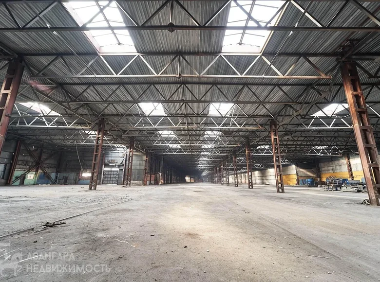 Warehouse 10 rooms 290 m² in Radaskovicki sielski Saviet, Belarus
