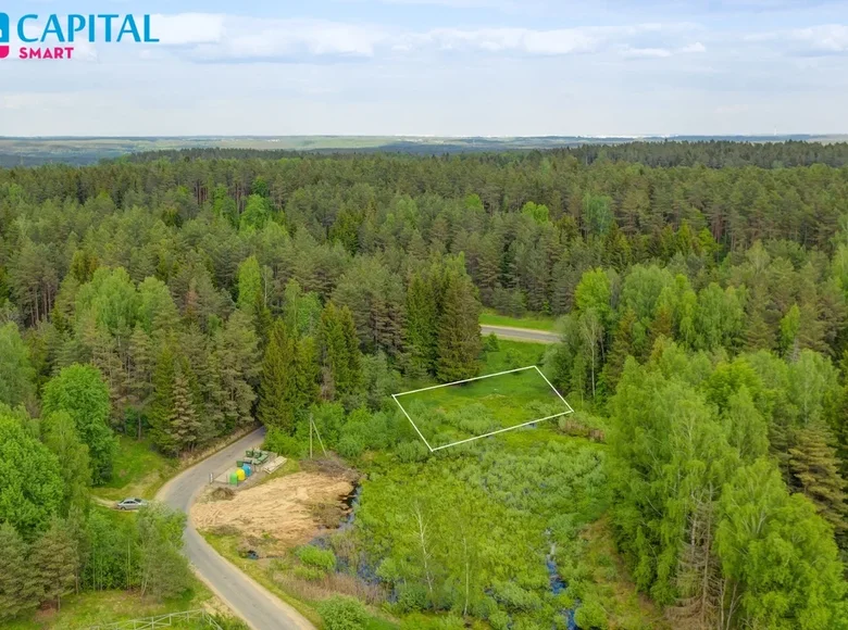 Grundstück  Buda III, Litauen