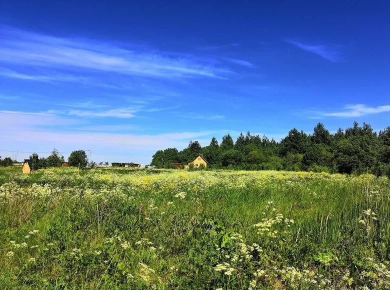 Działki  Danilovgrad Municipality, Czarnogóra